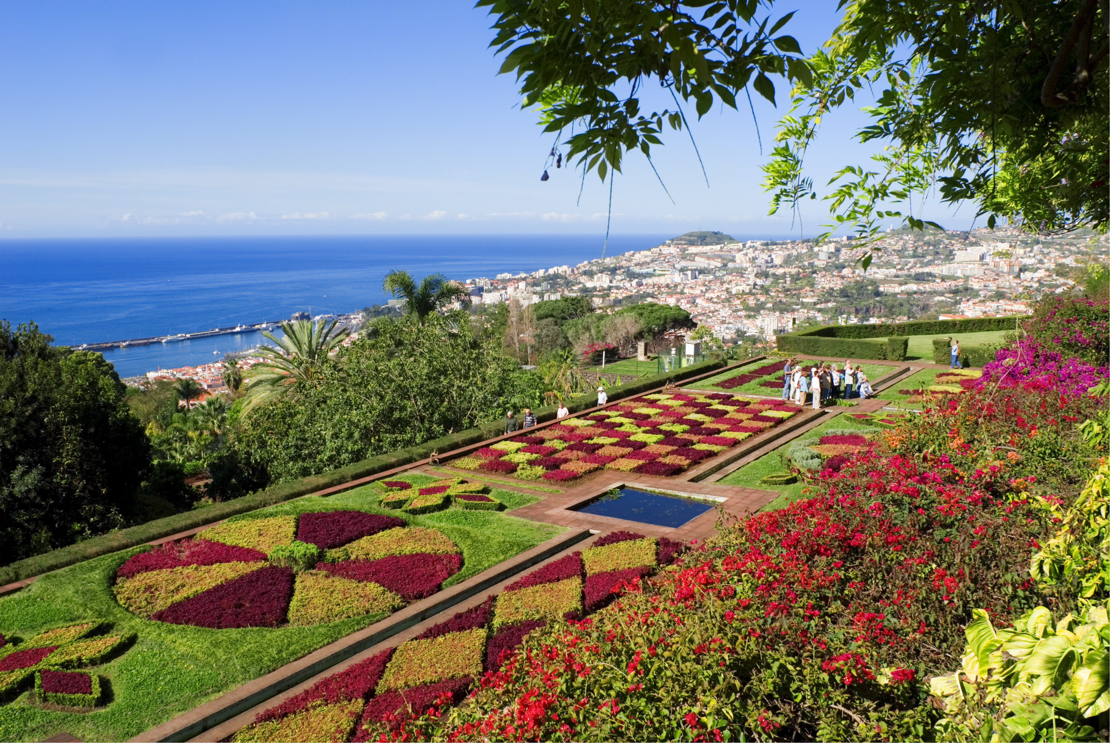 Botanischer Garten Funchal
 Madeira Bilder