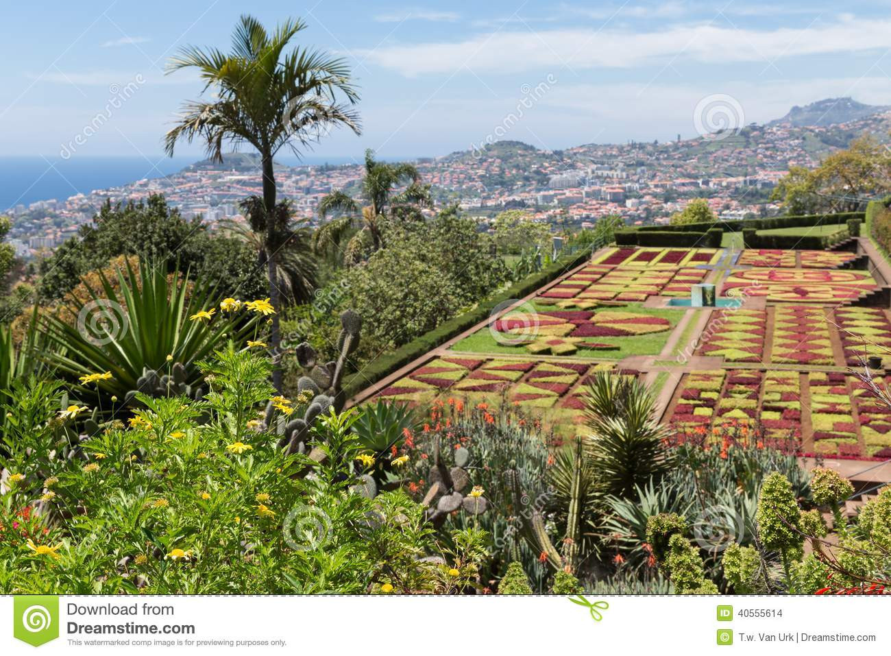 Botanischer Garten Funchal
 Botanischer Garten Funchal In Madeira Insel Portugal
