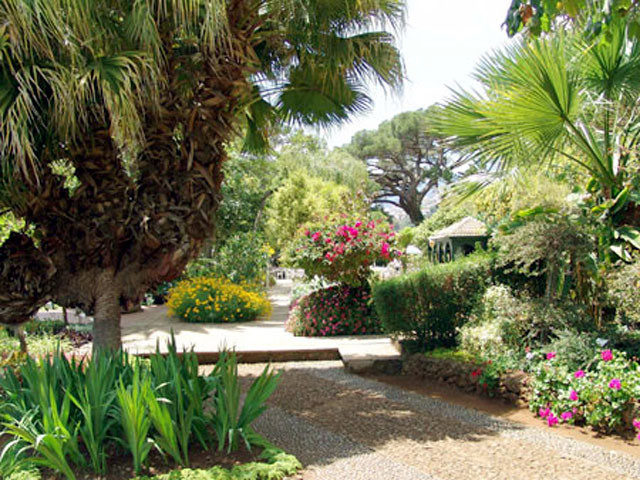 Botanischer Garten Funchal
 Madeira Botanischer Garten Jardim Botanico in Funchal