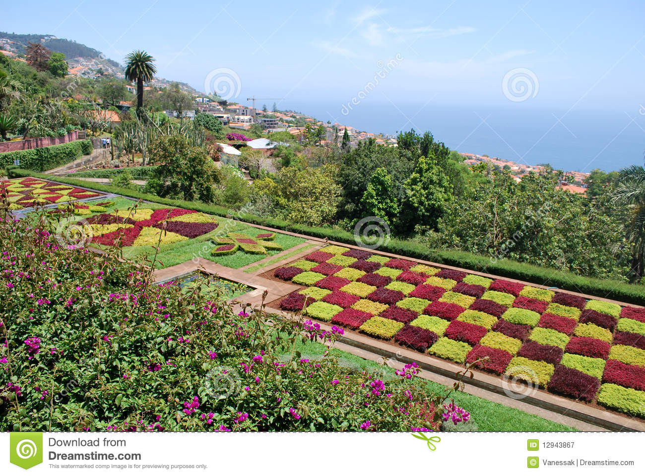 Botanischer Garten Funchal
 Botanischer Garten Von Funchal In Madeira Stockbild Bild