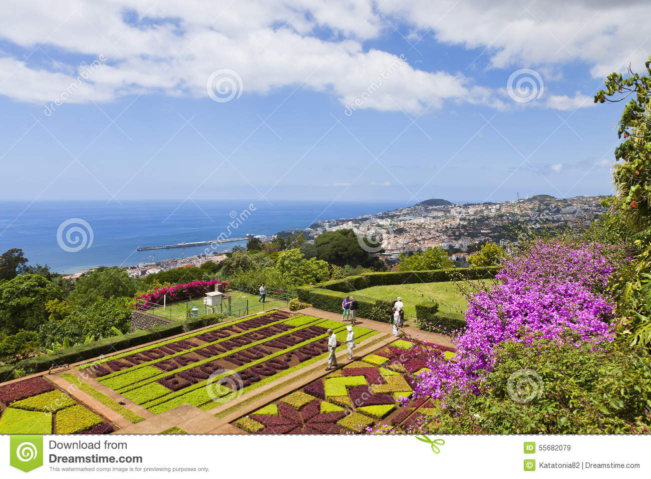 Botanischer Garten Funchal
 Tropischer Botanischer Garten In Funchal Madeira Insel