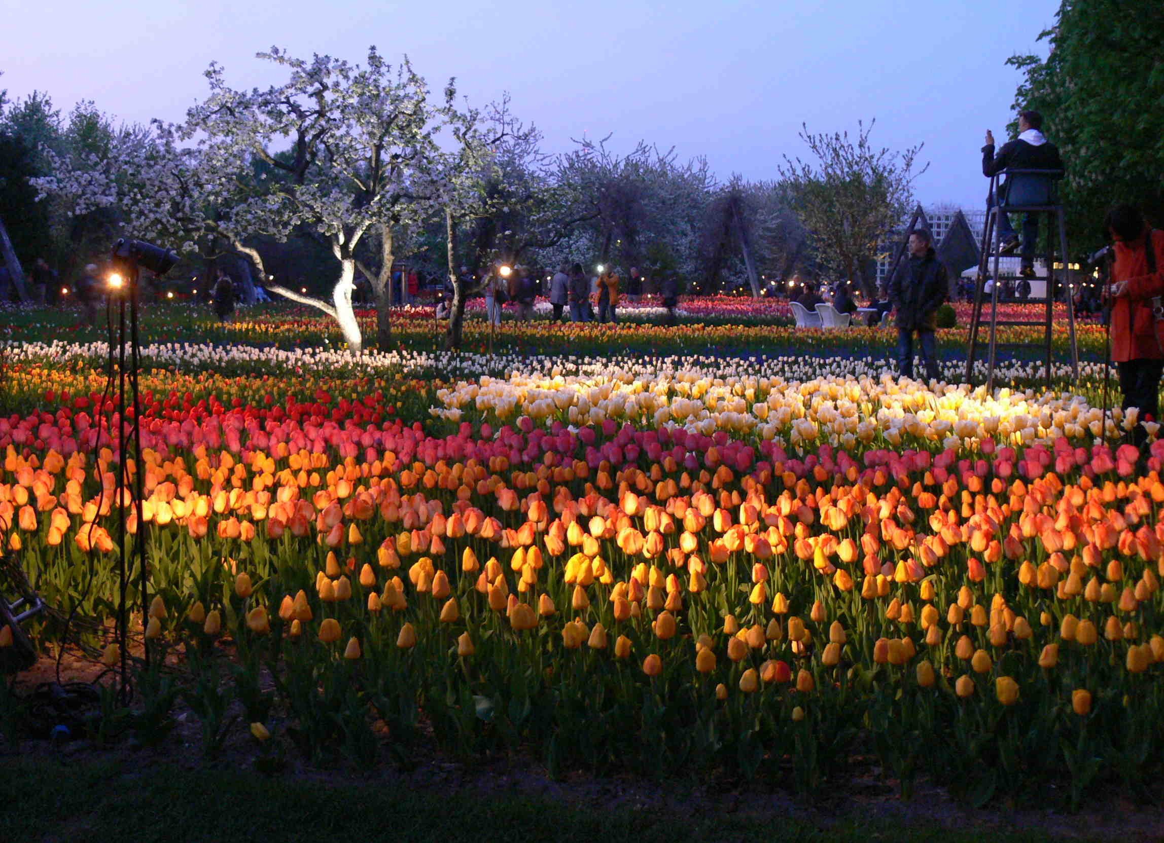 Britzer Garten Eingänge
 "Nachbarn News" Lichtenrade und seine Nachbarn „Tulipan