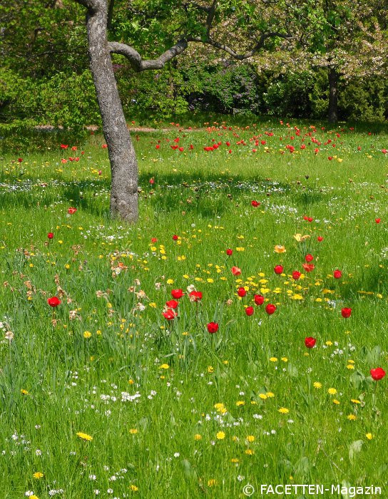 Britzer Garten Eingänge
 tulpensonderschau