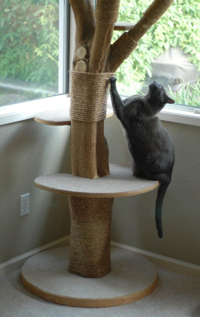 Cat Tree Diy
 Turn an old tree into a classy cat tower