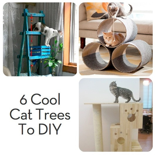 Cat Tree Diy
 Roundup 6 Very Cool and DIYable Cat Trees