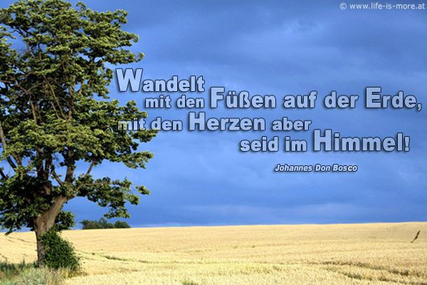 Christliche Geburtstagswünsche
 Geburtstagswünsche Bibel