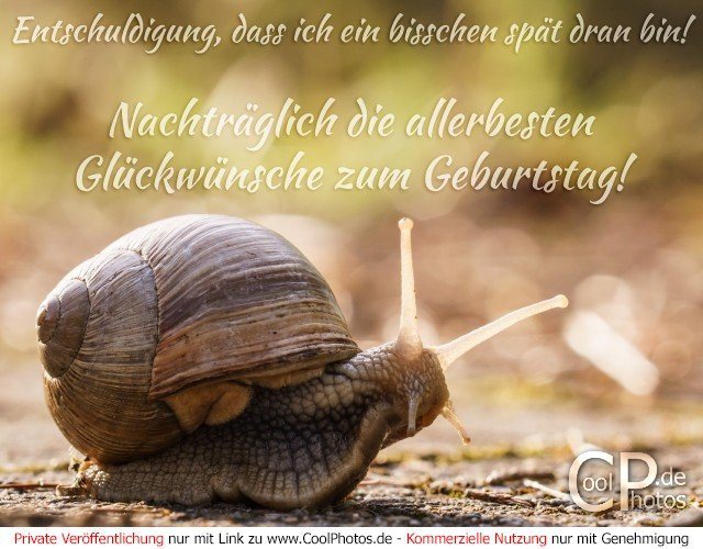 Coolphotos Geburtstagskarten
 6 Bilder mit dem Tag schnecke Alles Liebe zum Geburtstag