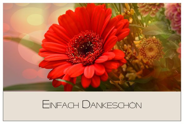 Dankeschön Für Geburtstagswünsche
 Dankeschön Für Fotos & Bilder auf foto munity