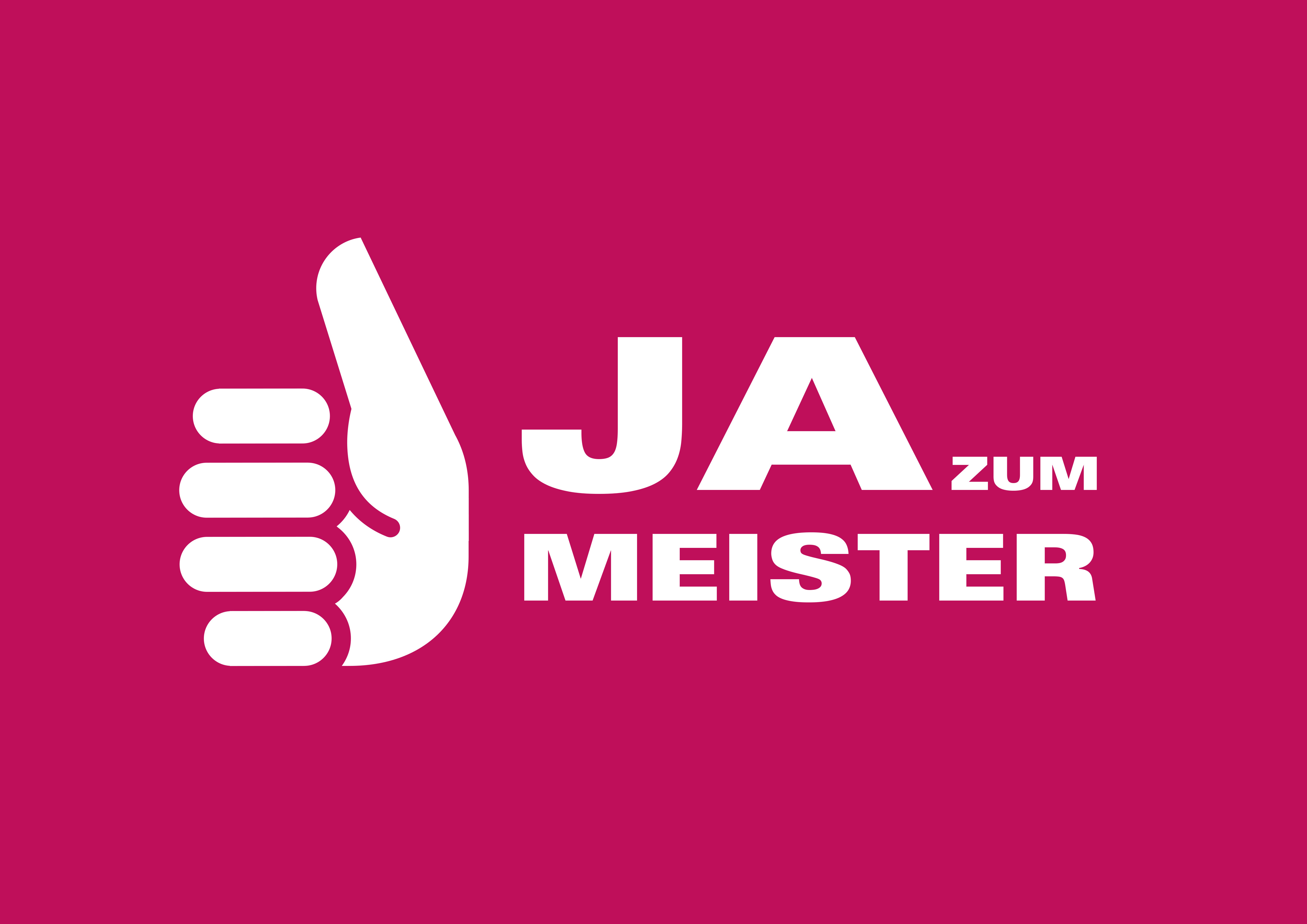 Das Handwerk Logo
 Ja zum Meister Mappe