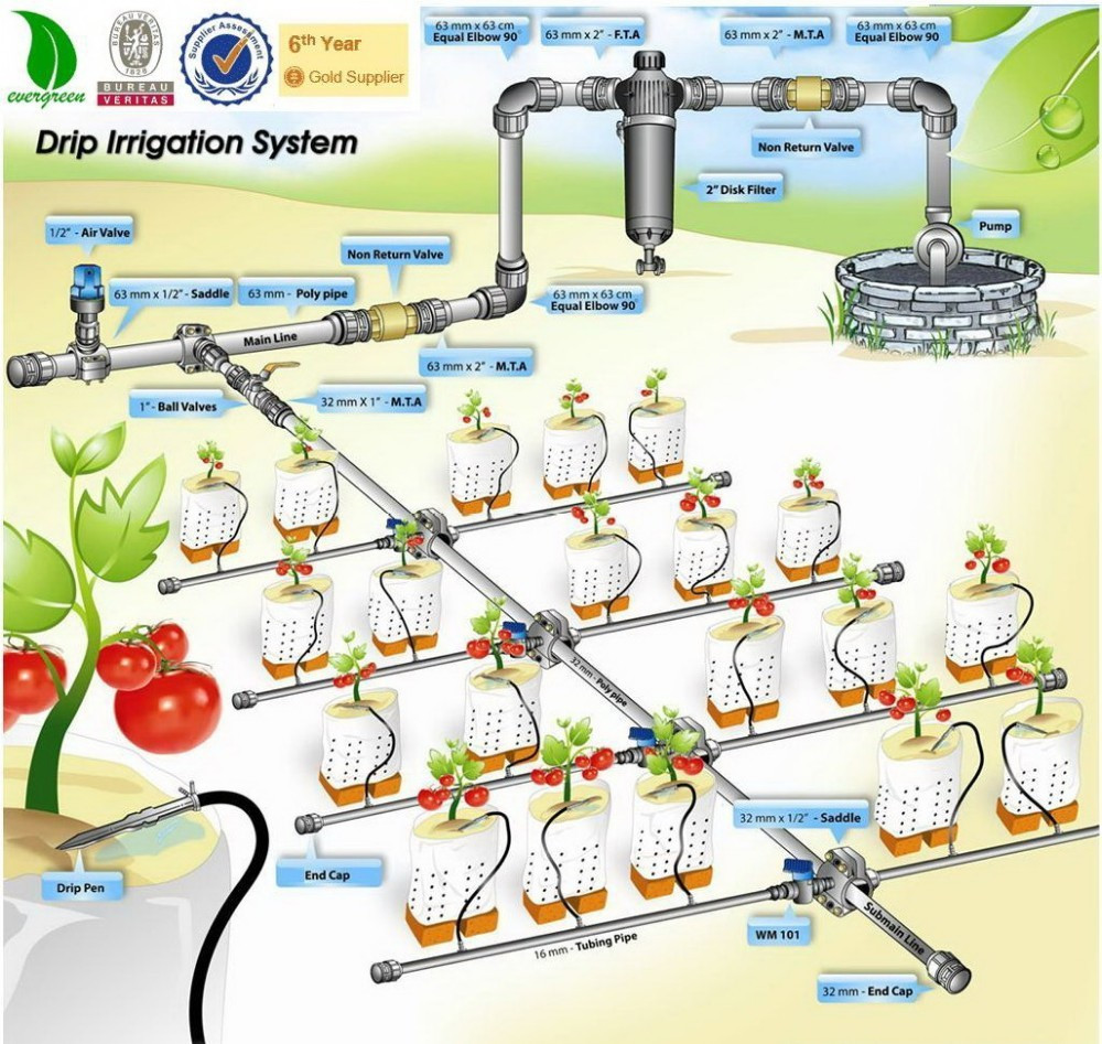 Diy Bewässerungssystem
 diy Tropfbewässerung automatische Bewässerungssystem