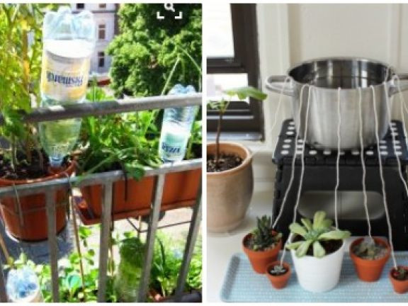 Diy Bewässerungssystem
 Blumen und Pflanzen automatisch bewässern