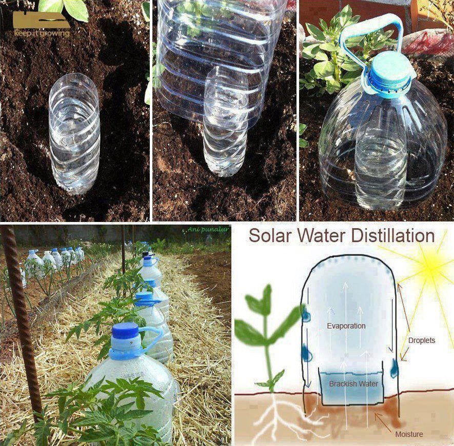 Diy Bewässerungssystem
 Drip bottle irrigation DIY Gardening