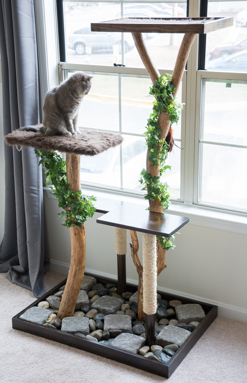 Diy Cat Tree
 Make a Cat Tree Using Real Branches My Amazing DIY Cat Tree