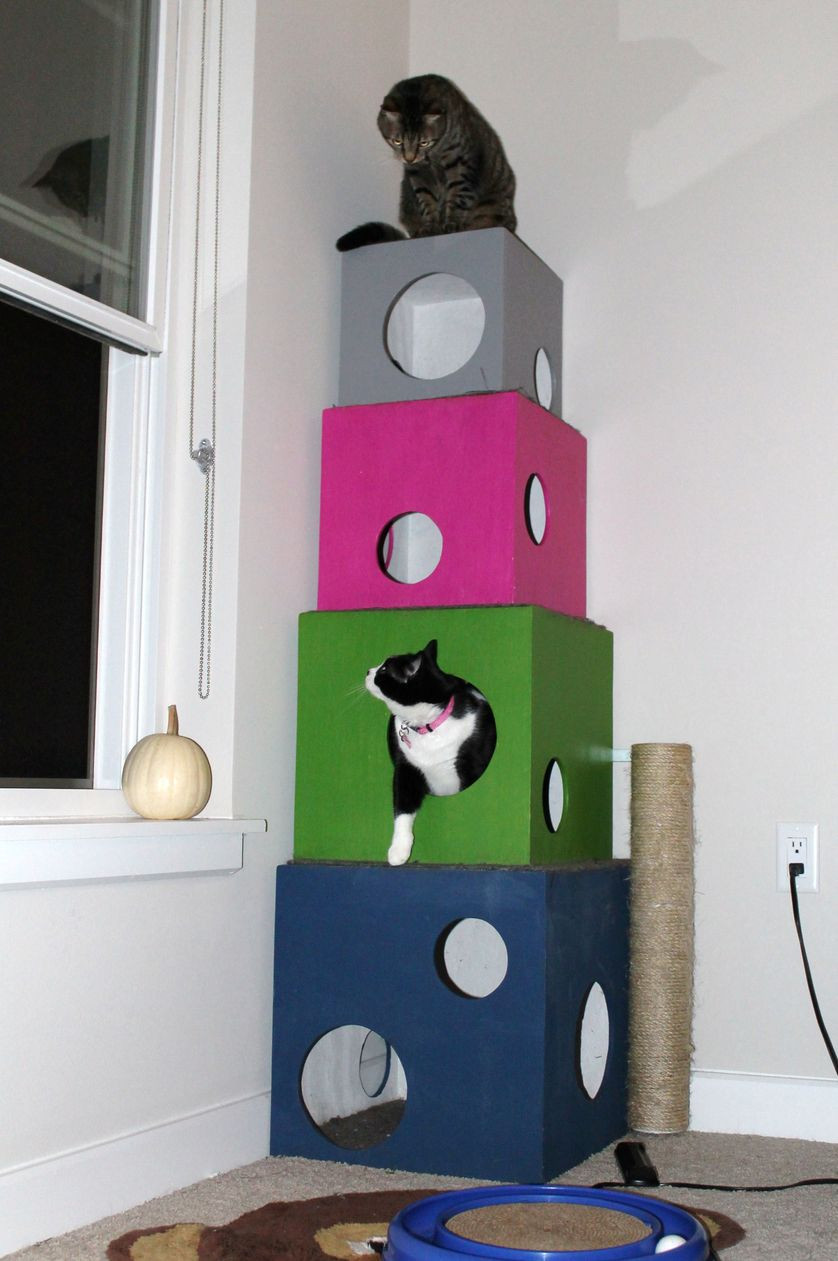 Diy Cat Tree
 6 DIY cat trees to enrich your kitty s life