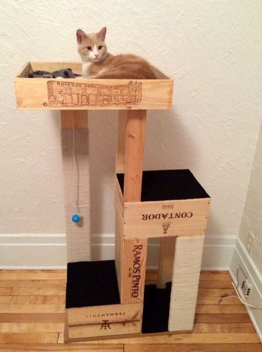 Diy Cat Tree
 40 Cool DIY Cat Tree Kitty Condos or Cat Climbers