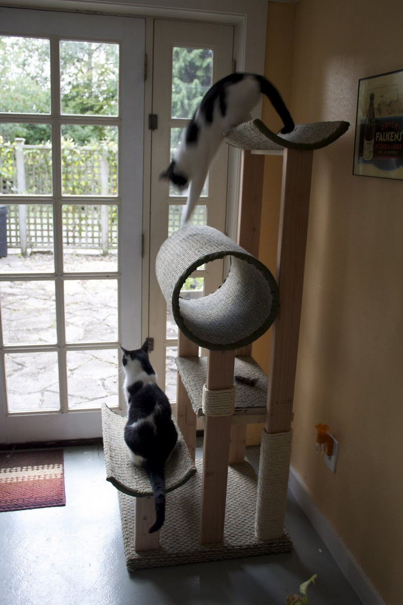 Diy Cat Tree
 How To Build A Cat Tower From Scratch