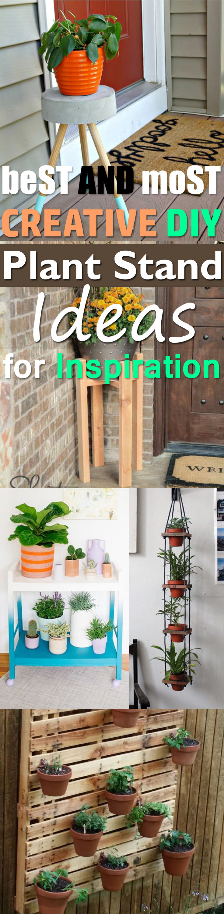 Diy Creative
 Best And Most Creative DIY Plant Stand Ideas For