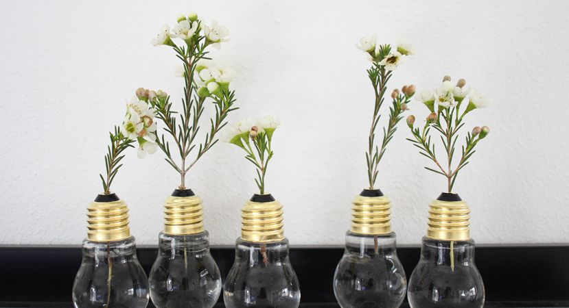 Diy Deko Frühling
 Deko Glühbirnen mit Blüten Frühlings DIY