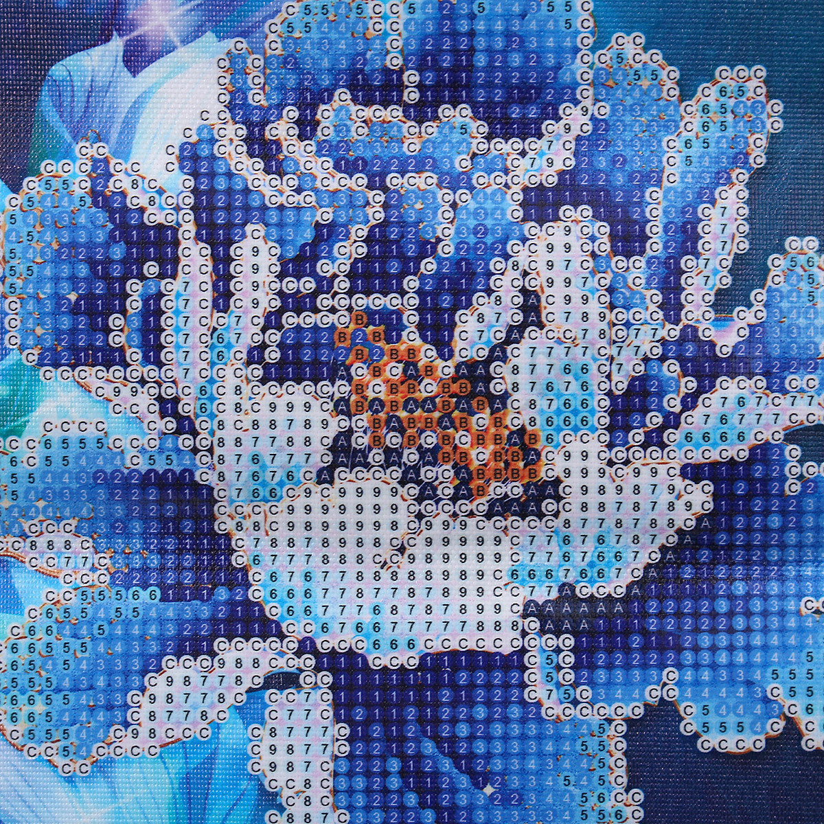 Diy Diamond Painting
 DIY 5D Diamond Painting Embroidery Flower Cross Crafts