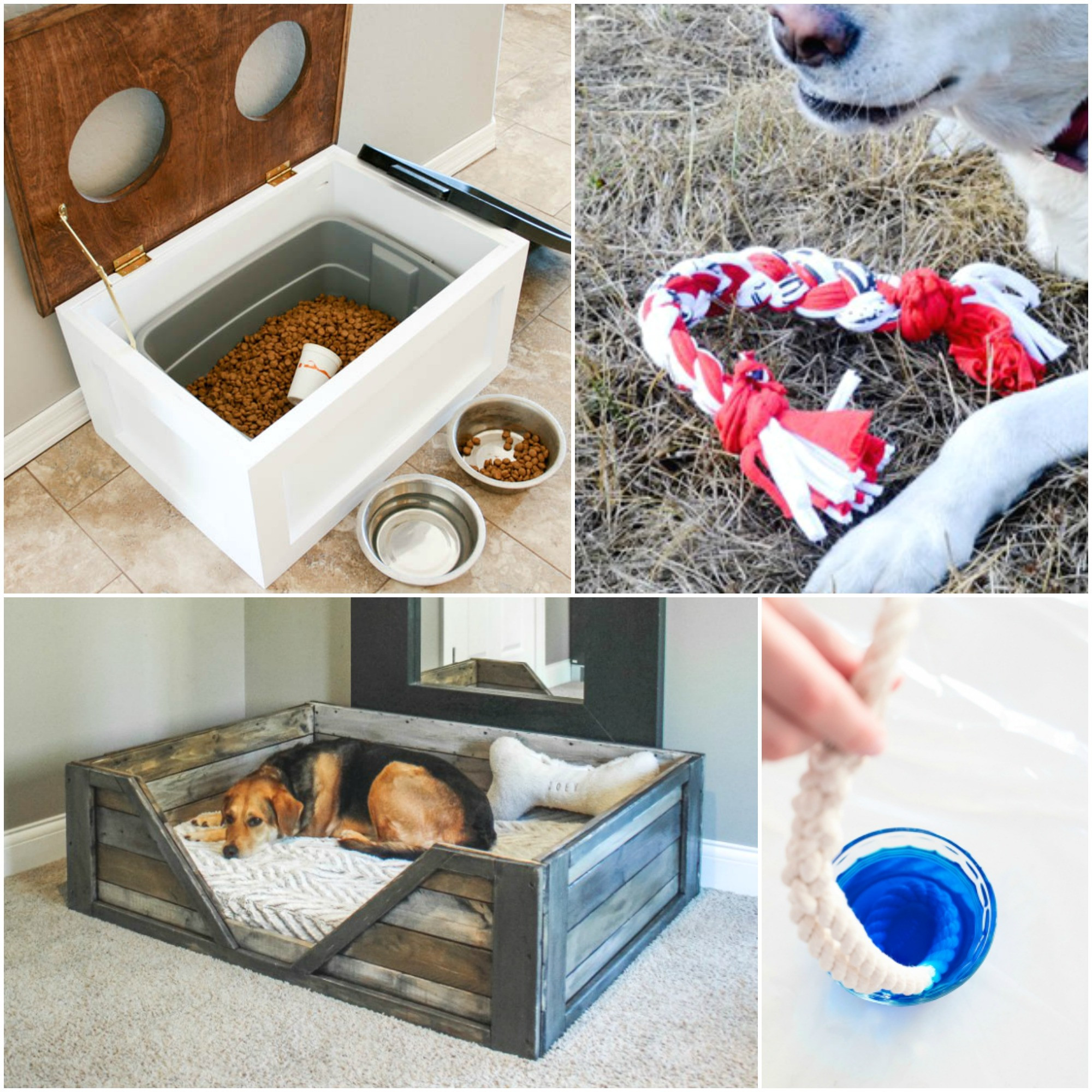 Diy Dog
 10 DIY Projects for Dog Lovers The Realistic Mama