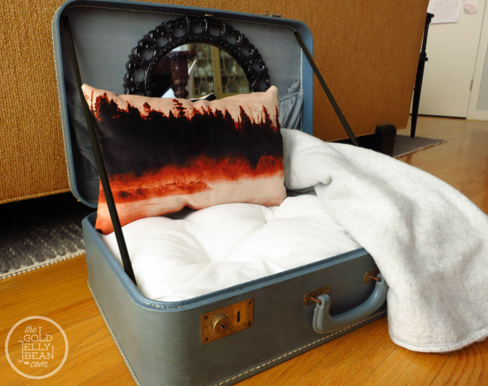 Diy Dog Bed
 DIY Vintage Suitcase Dog Bed