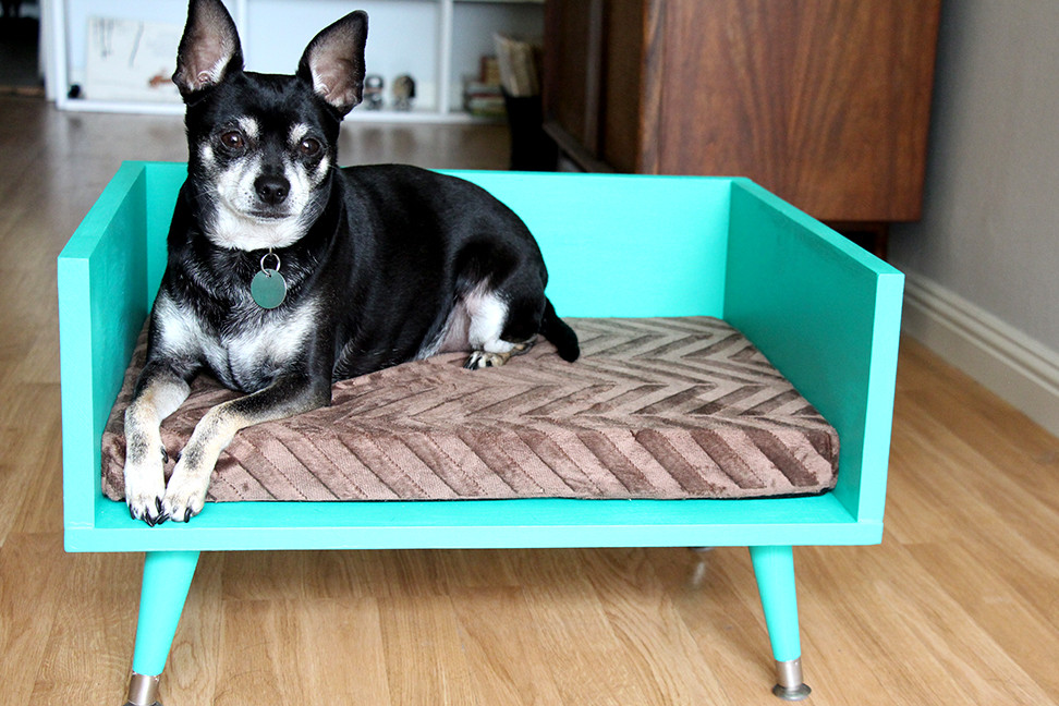 Diy Dog Bed
 DIY Mid Century Style Pet Bed with a Touch of Star Trek