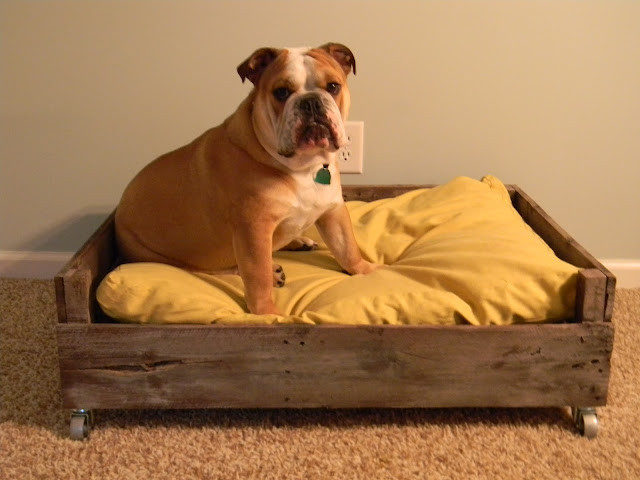 Diy Dog Bed
 how to make homemade dog bed in just five minutes how to