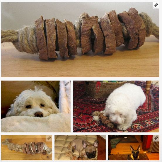 Diy Dog
 44 Really Cool Homemade DIY Dog Toys Your Dog Will Love