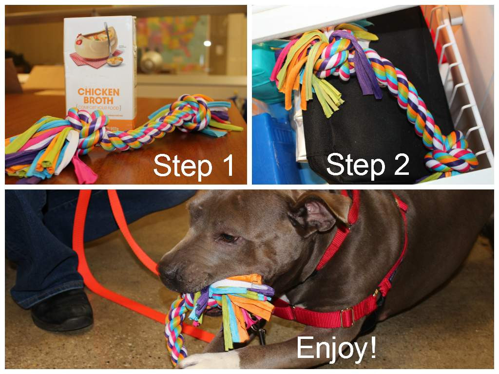 Diy Dog
 Cruelty Free Gift Ideas For Your Pets From the ASPCA