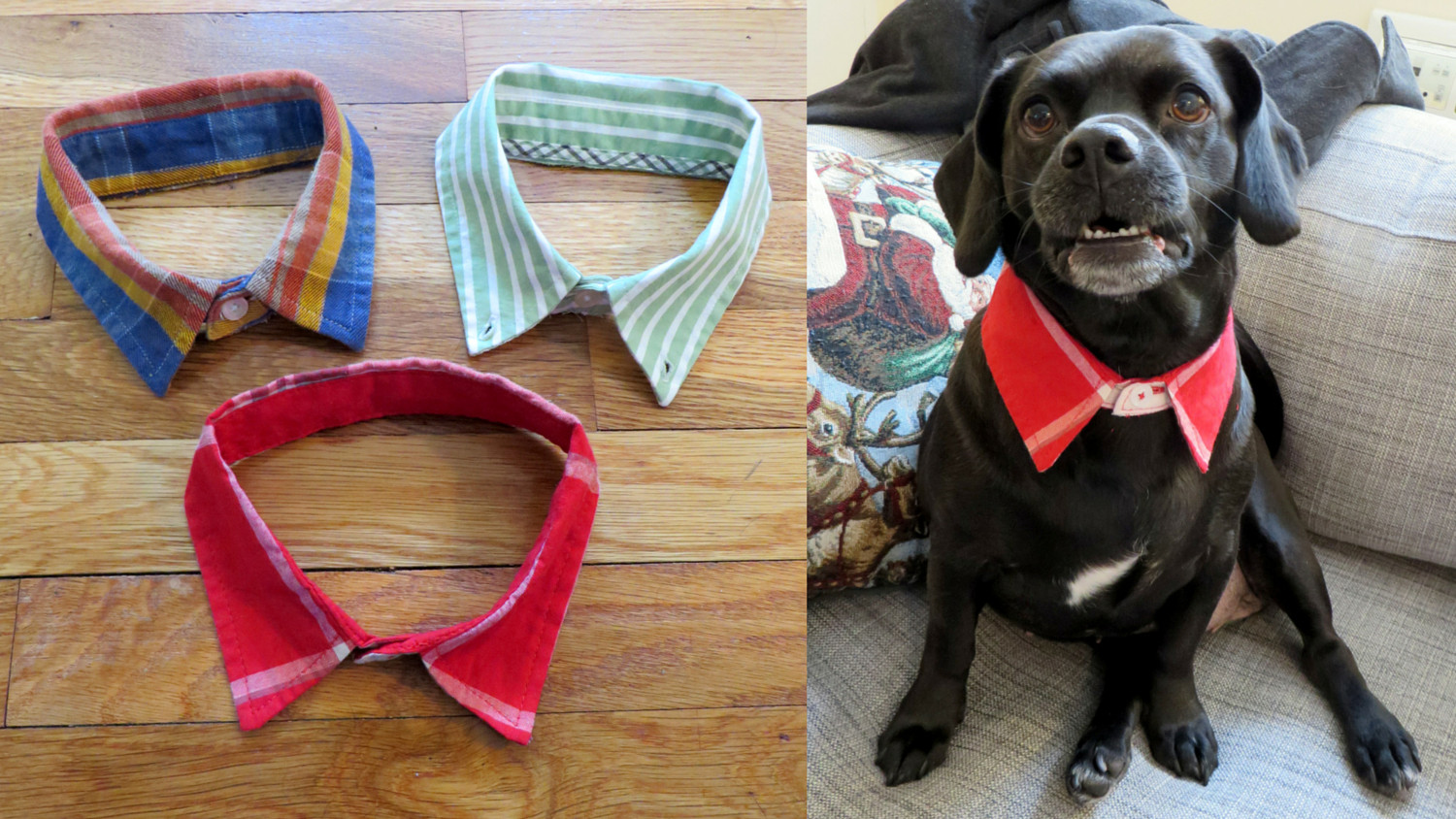 Diy Dog
 DIY Doggie Dress Shirt Collar – The Cheerful Times