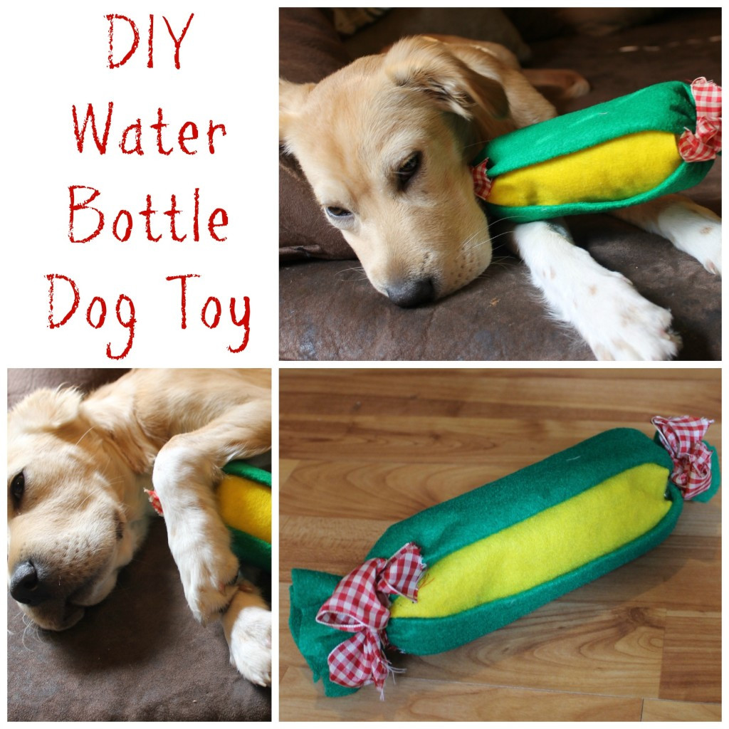 Diy Dog
 Easy DIY Dog Toys Ideas Tutorials