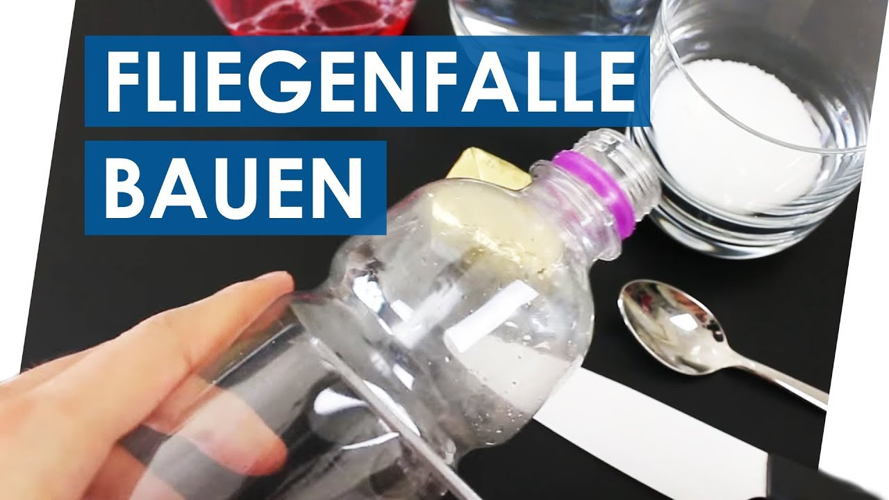 Diy Fliegenfalle
 Beste Fliegenfalle selber bauen