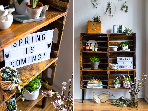 Diy Frühling
 Frühling DIY und schnelle Deko Idee mit Pflanzen für Zuhause