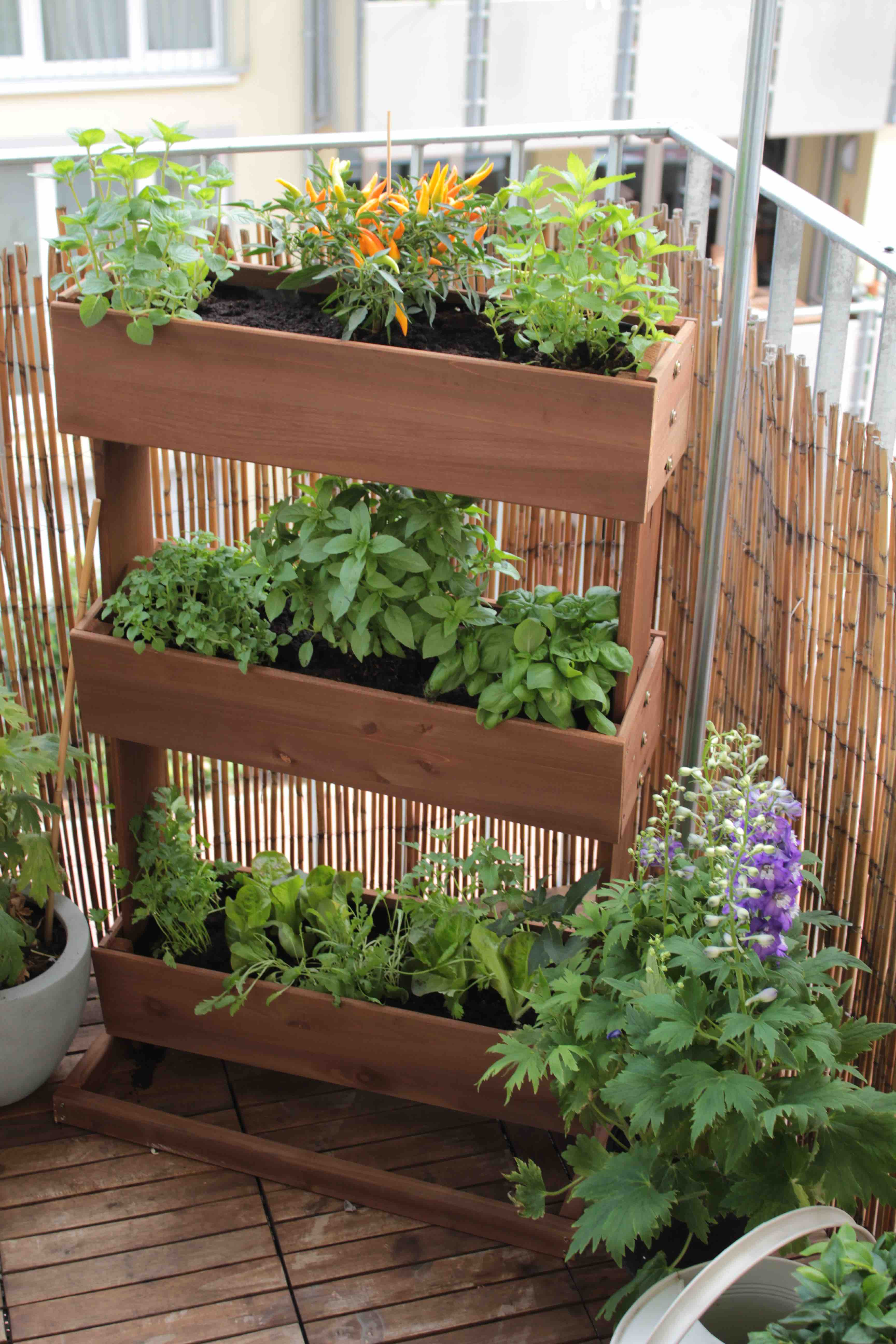 Diy Hochbeet Balkon
 Hochbeet DIY mal anders Garten Fräulein Der Garten Blog