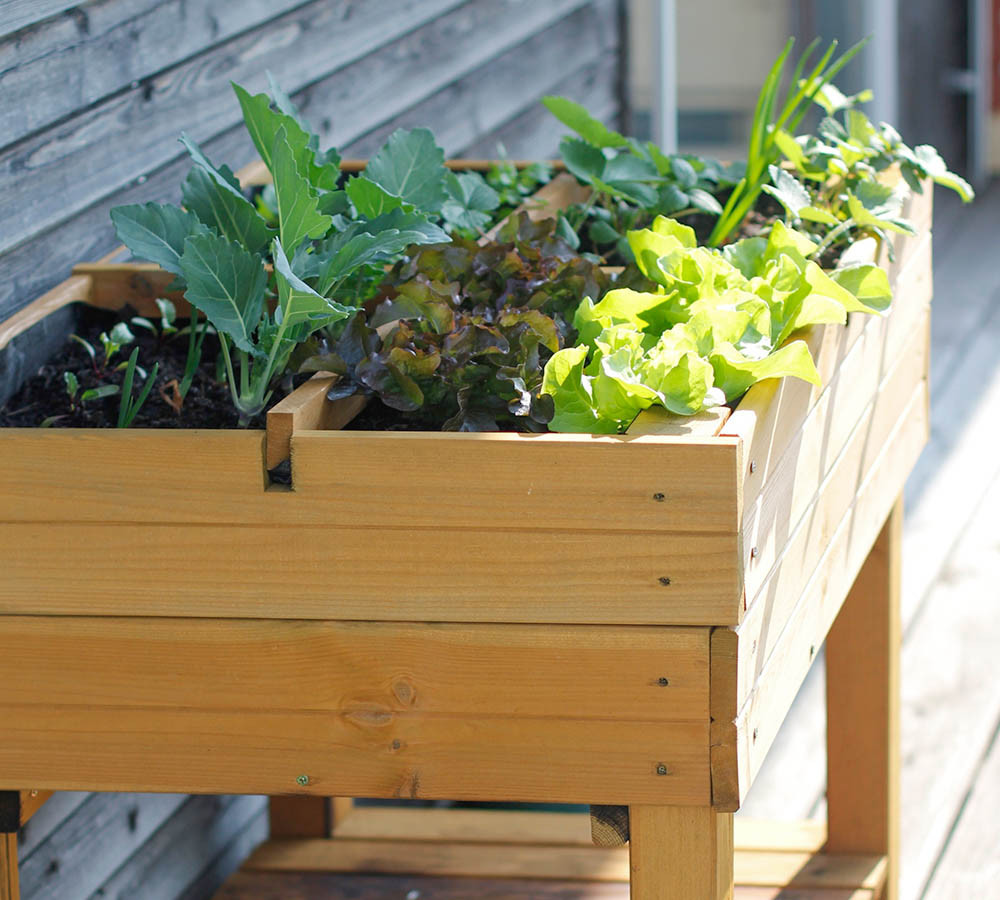 Diy Hochbeet Balkon
 Urban Farming – Selbstversorgung auf Balkon und Terrasse