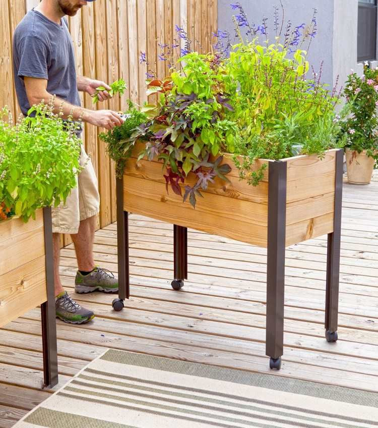 Diy Hochbeet Balkon
 mobiles Hochbeet auf Rollen für Terrasse und Balkon