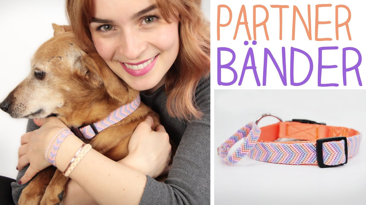 Diy Hund
 DIY Hunde Halsband & Armband für dich und dein Haustier