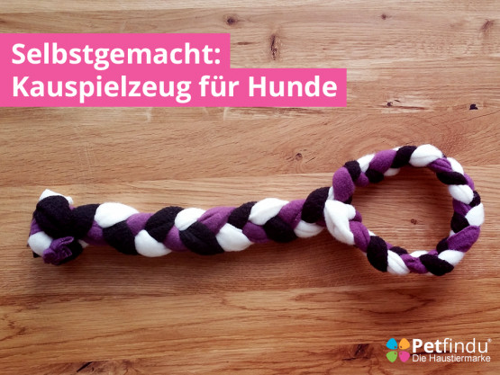 Diy Hundespielzeug
 hundespielzeug selber machen – Petfindu Blog