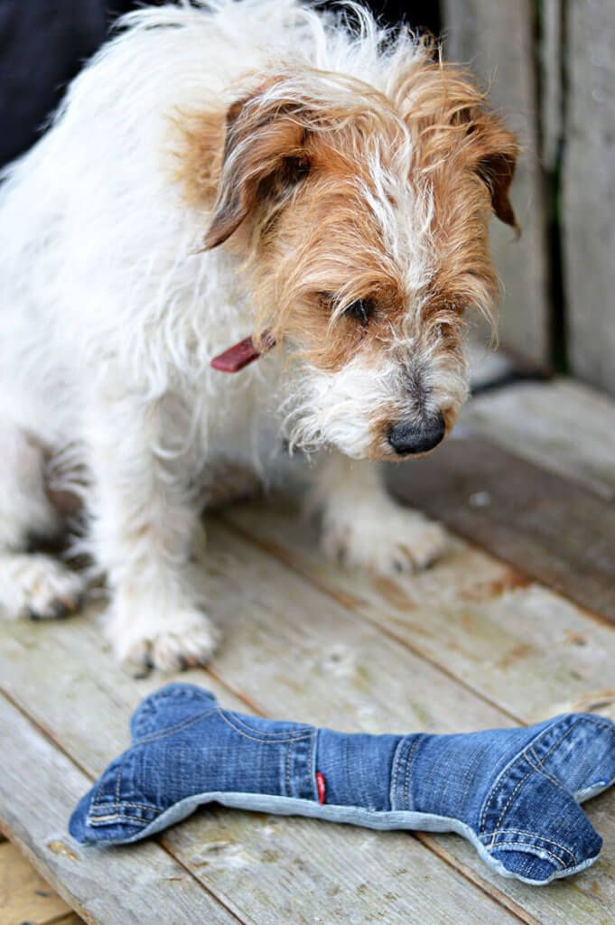 Diy Hundespielzeug
 Hundespielzeug Knochen Hund spielzeug