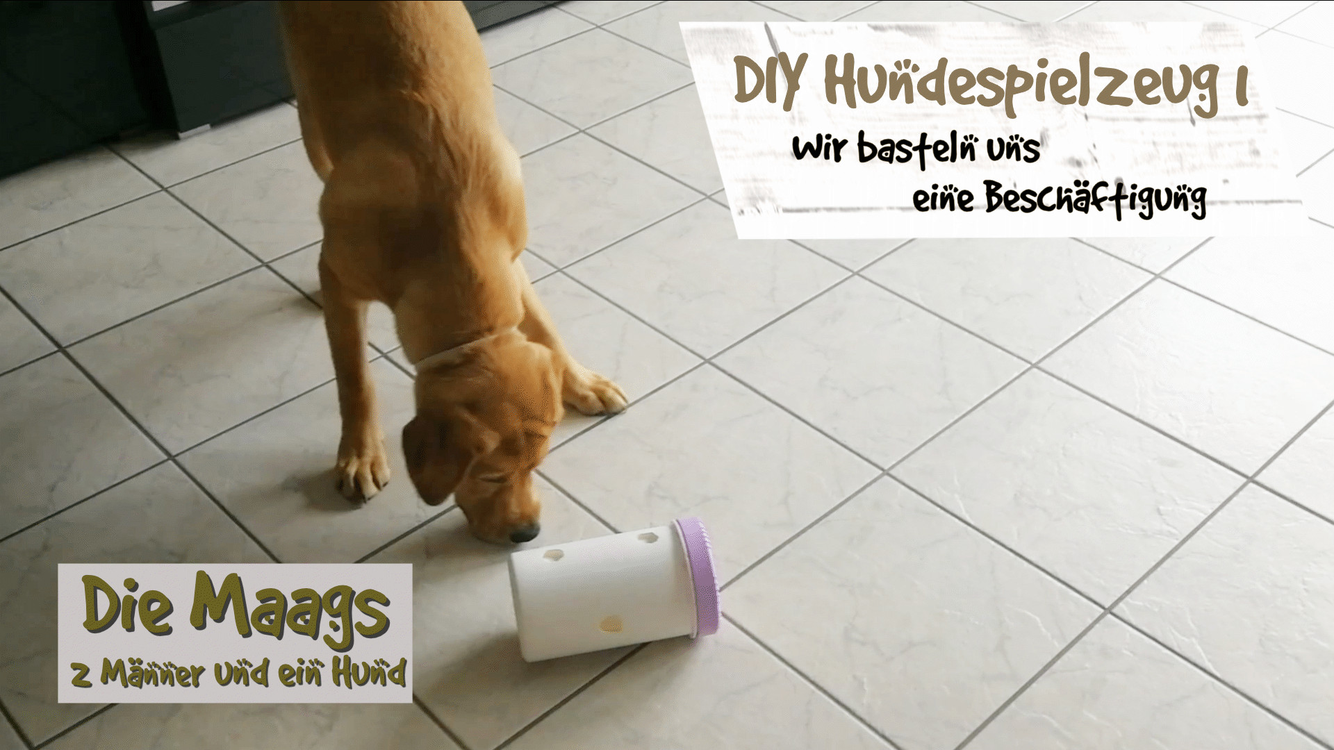 Diy Hundespielzeug
 DIY Hundespielzeug Die Maags