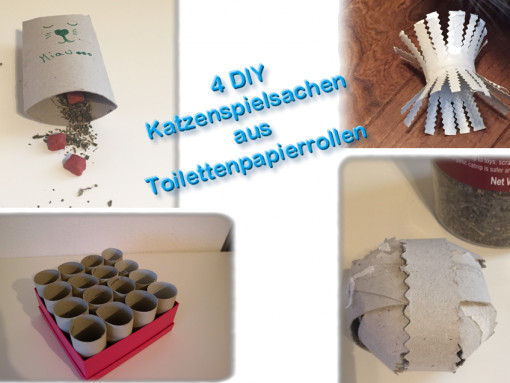 Diy Katzenspielzeug
 DIY Katzenspielzeug Katzenspielzeug Toilettenpapierrollen