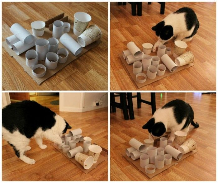 Diy Katzenspielzeug
 Die besten 25 Katzenspielzeug selber machen Ideen auf