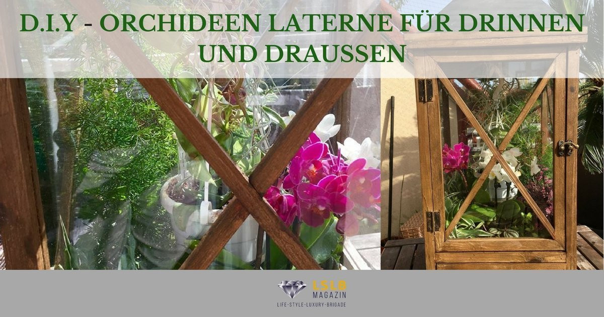 Diy Laterne
 Attraktive Deko Idee Orchideen Laterne für In und Outdoor