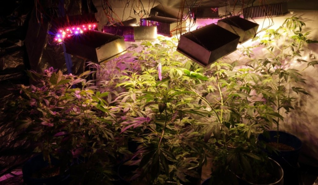 Diy Led Grow Light
 10 DIY Led Grow Lights For Growing Plants Indoors – Home