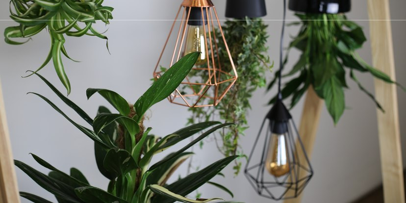 Diy Luftbefeuchter
 Do it Yourself Projekt Kleiner Indoor Garten Galaxus