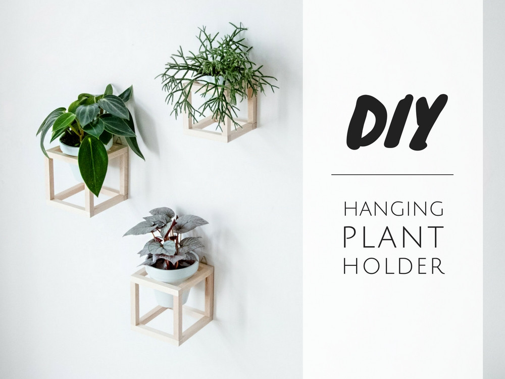 Diy Pflanzen
 Wohnen mit Pflanzen – DIY hängender Pflanzenhalter