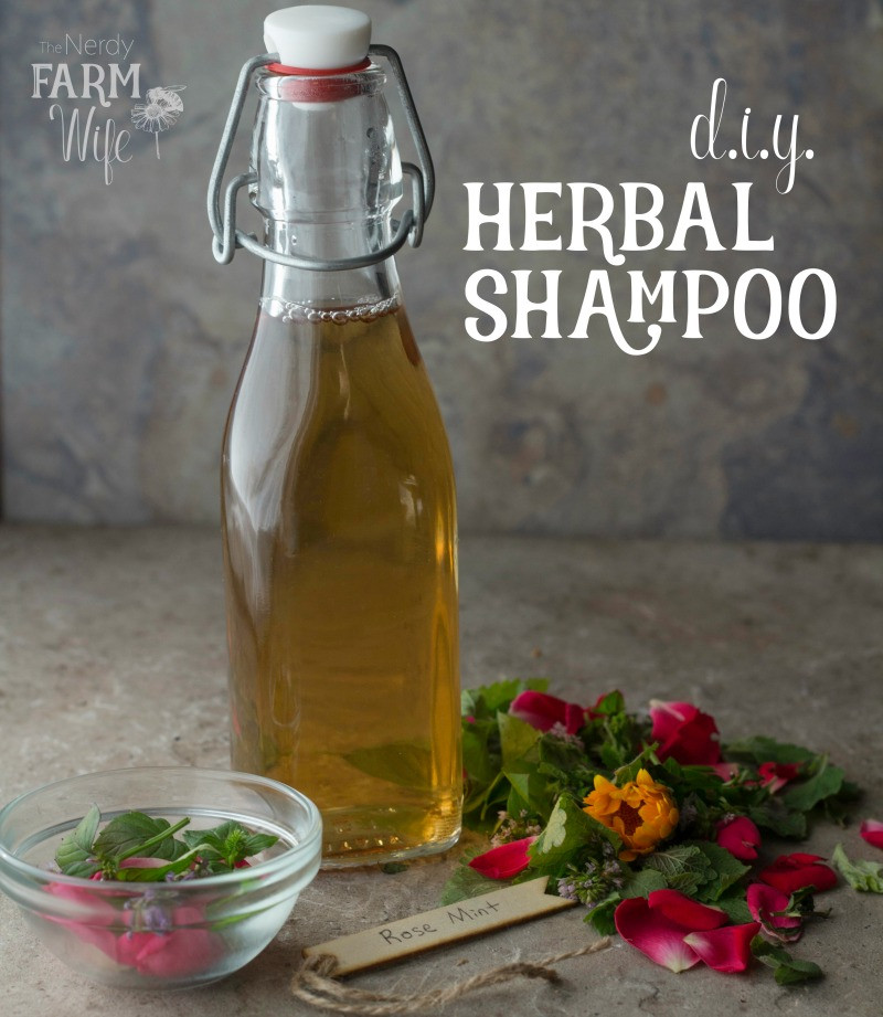 Diy Shampoo
 Homemade Herbal Shampoo