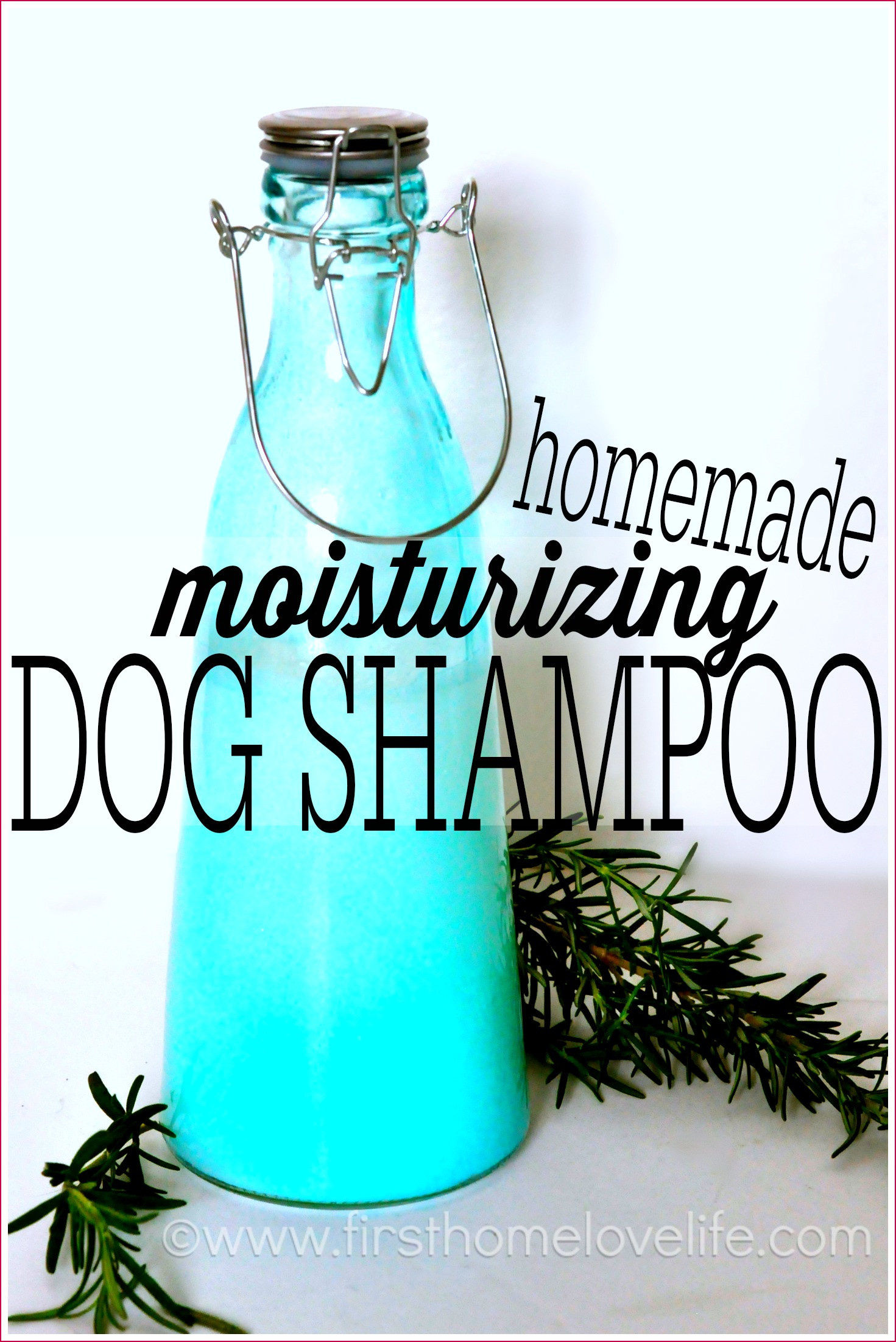 Diy Shampoo
 Homemade Dog Shampoo First Home Love Life