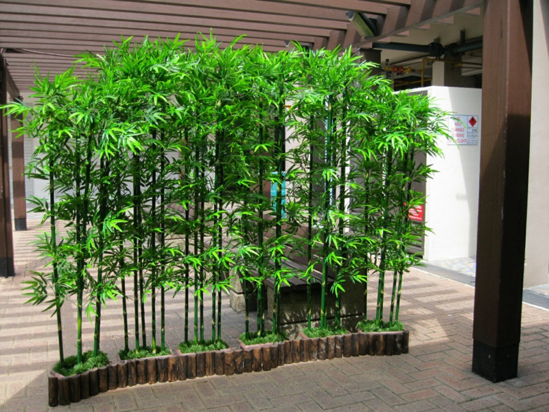 Diy Sichtschutz
 Bambus im Garten – DIY Sichtschutz für Terrasse