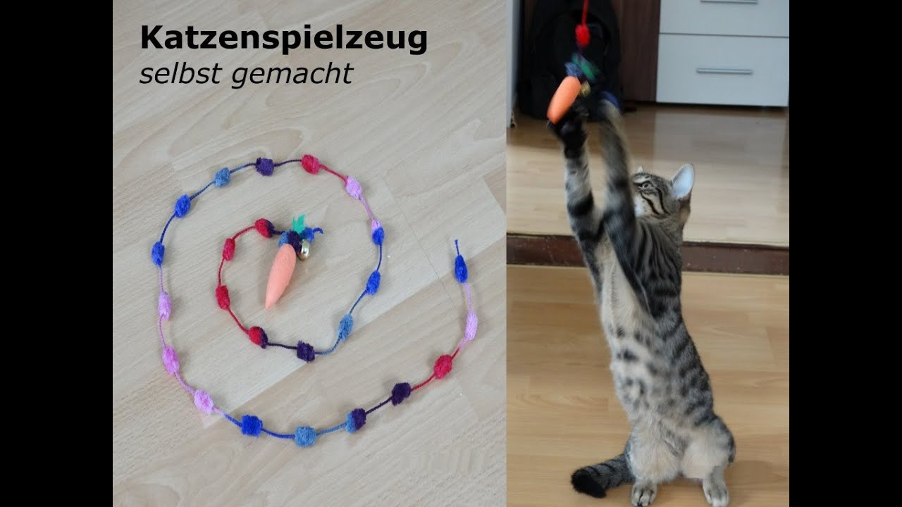 Diy Spielzeug
 DIY Katzen Spielzeug selbst gemacht follow Salt&Pepper